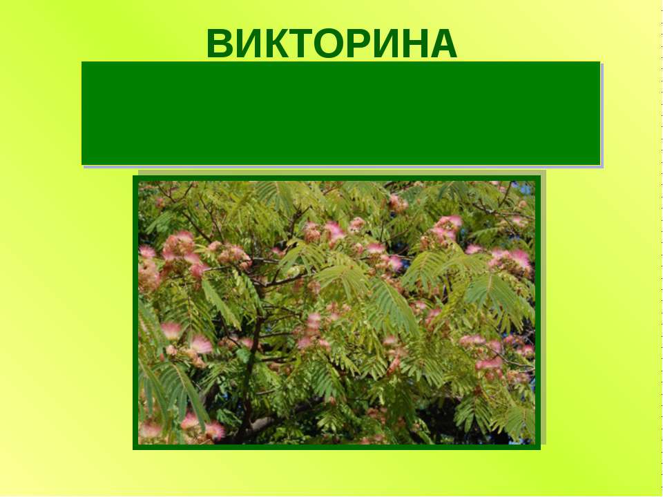 Знатоки природы