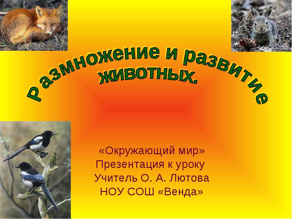 Размножение и развитие животных