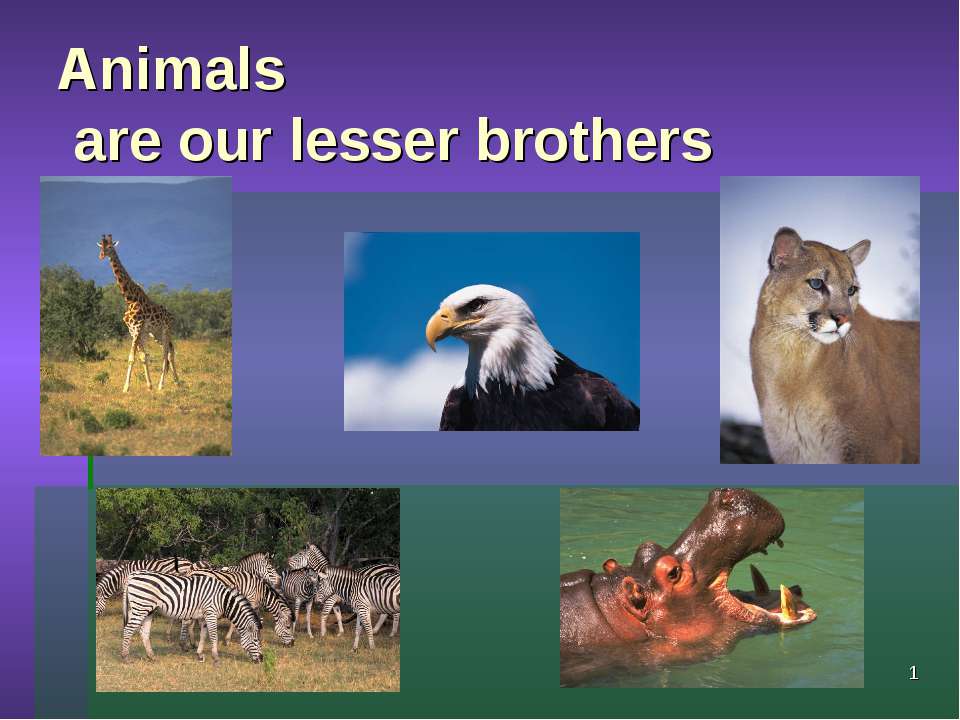 Animals are our lesser brothers