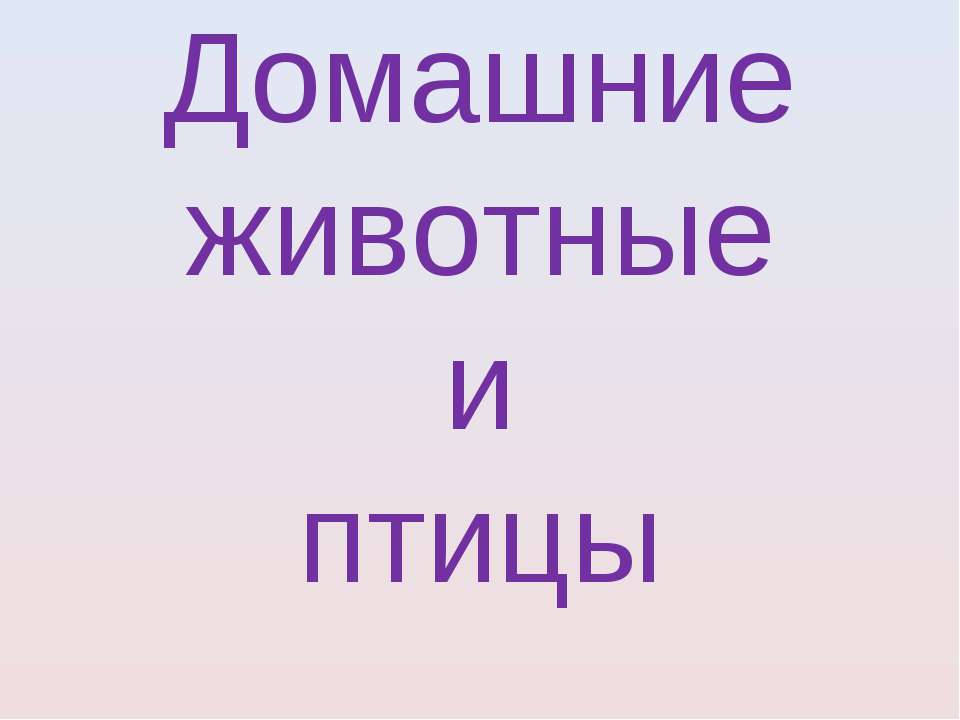 Домашние животные