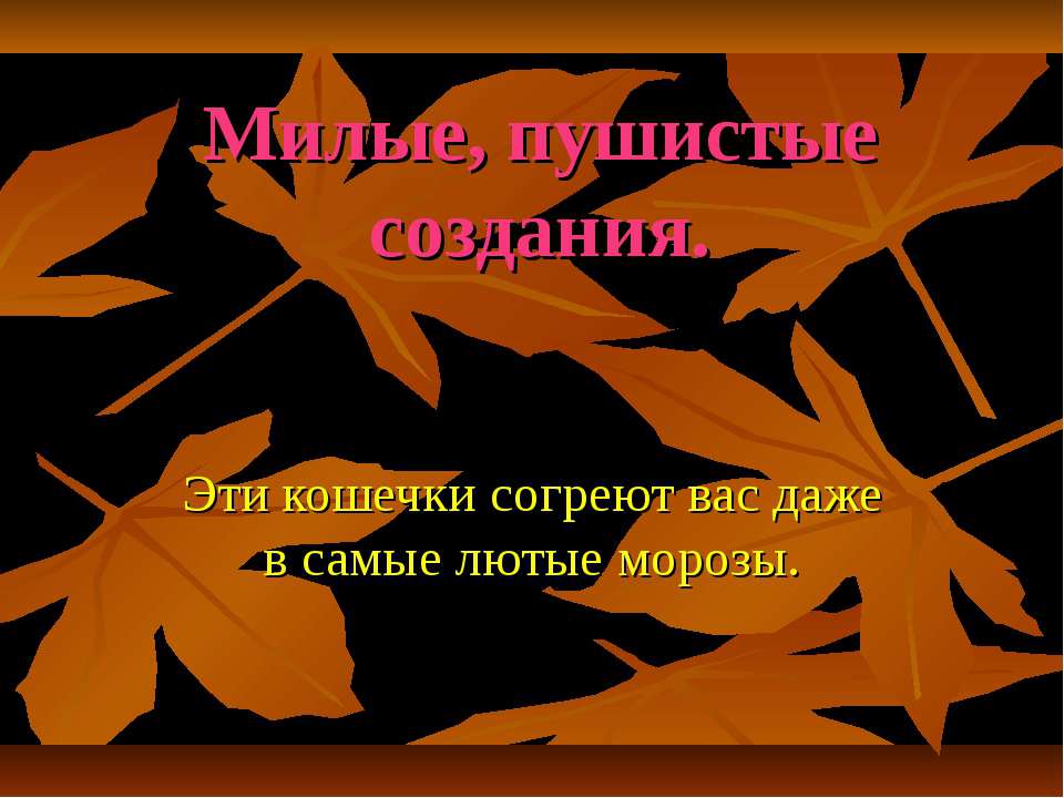 Милые, пушистые создания