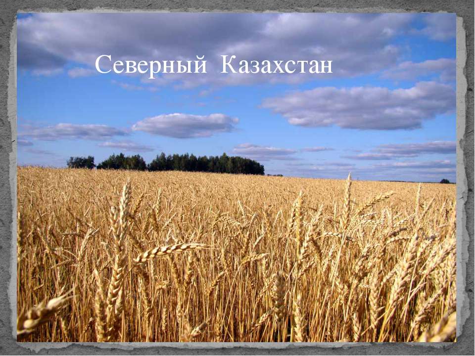 Северный Казахстан