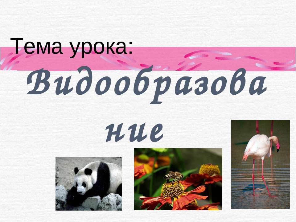 Видообразование