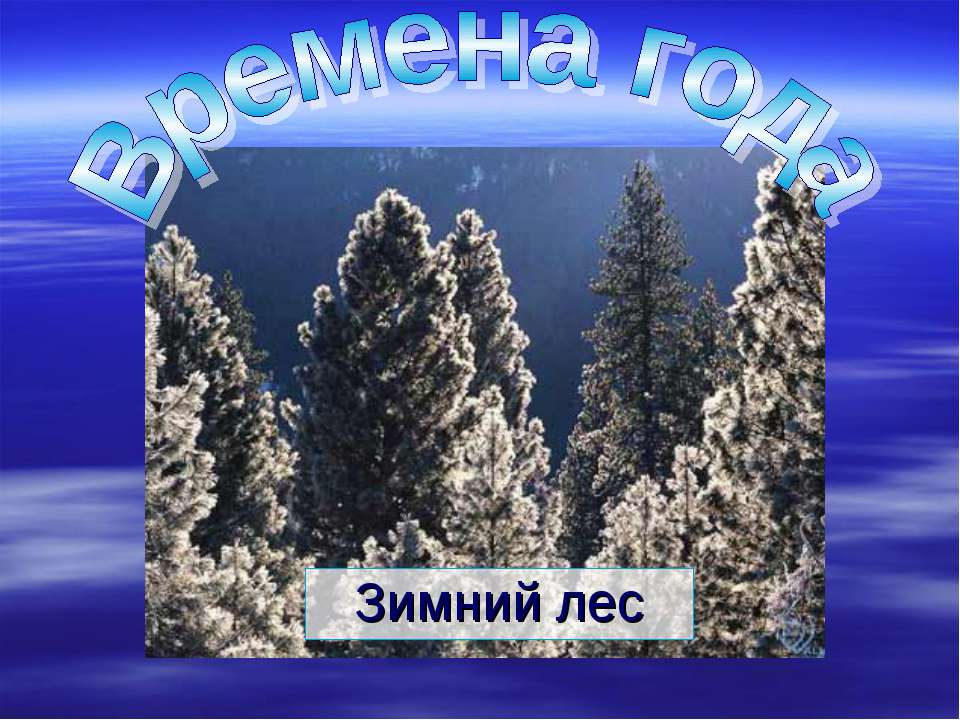 Времена года. Зимний лес