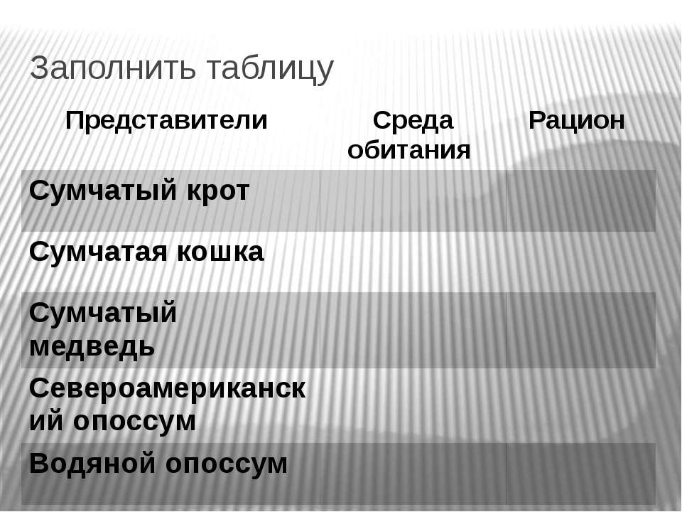 Рукокрылые