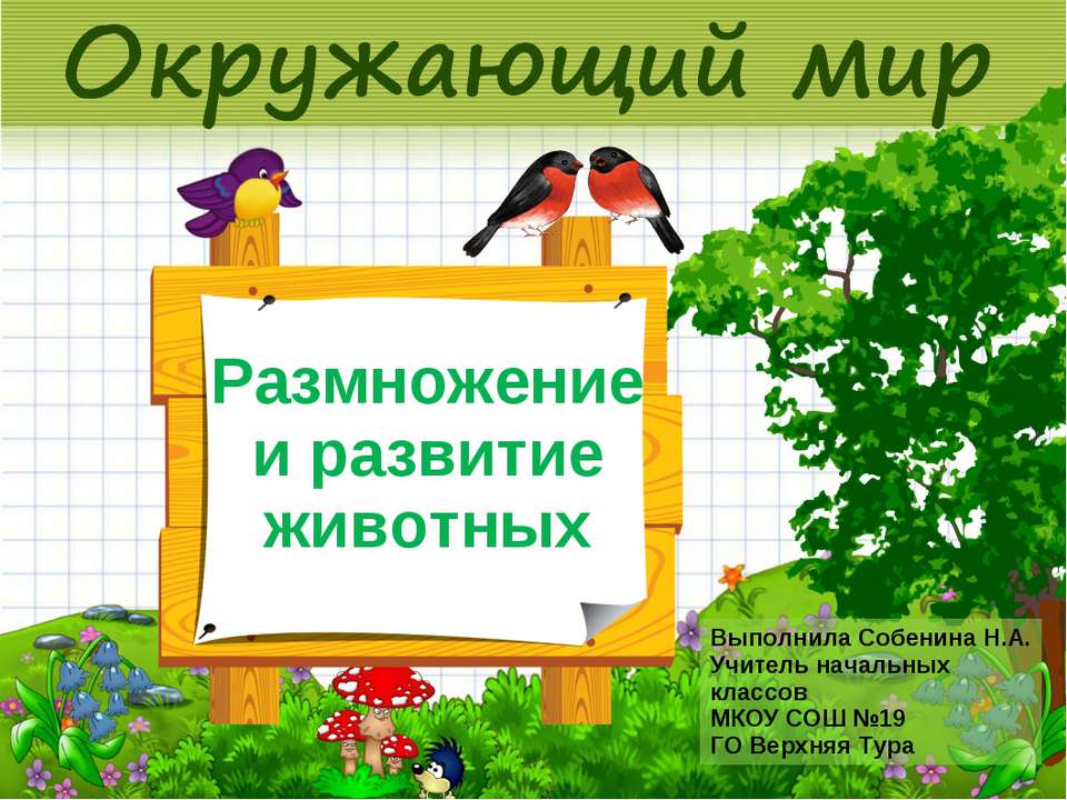 Размножение и развитие животных 2 класс