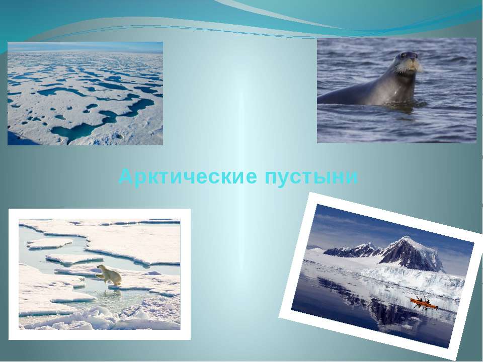 Арктические пустыни