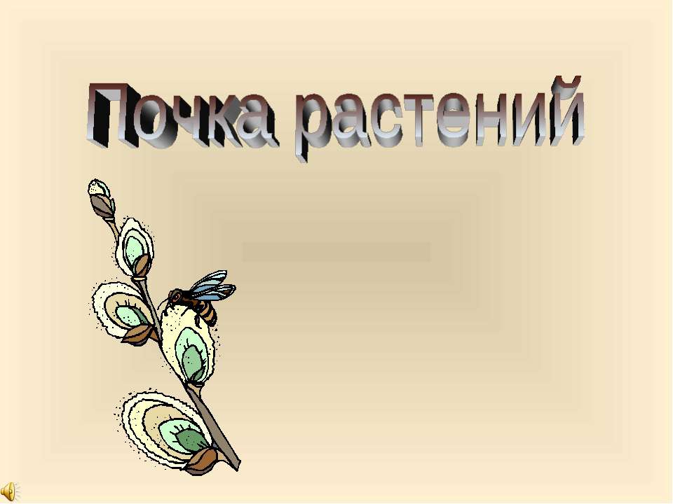 Почка растений