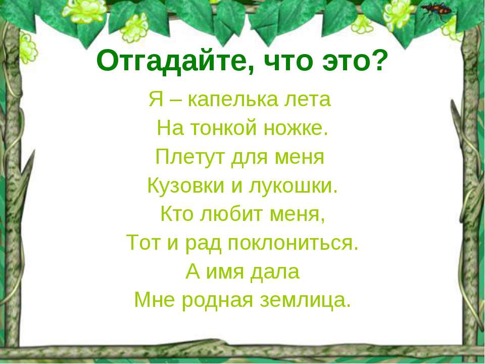 Лето ягодное