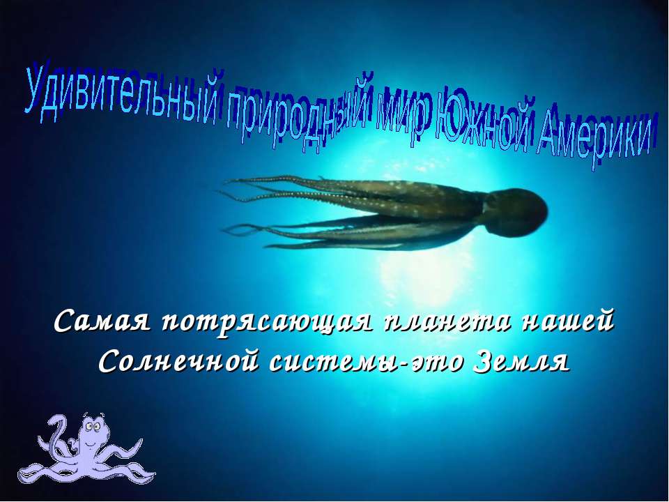 Удивительный природный мир Южной Америки