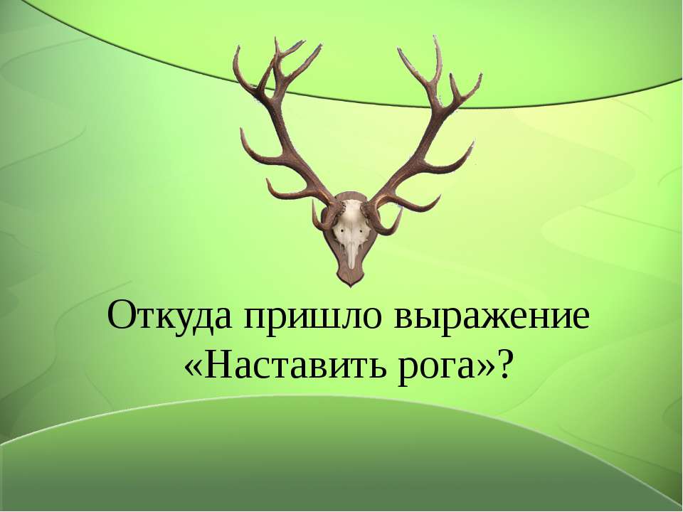 Откуда пришло выражение «Наставить рога» ?
