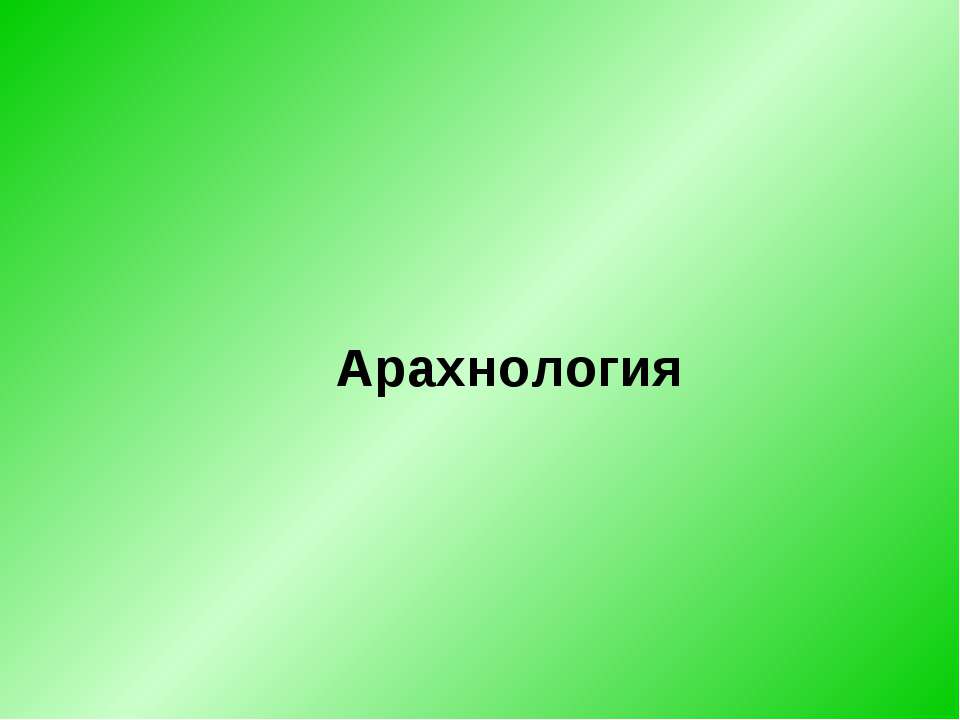 Арахнология