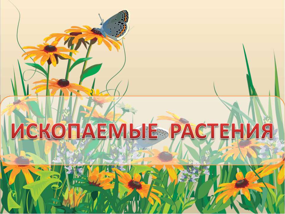 Ископаемые растения