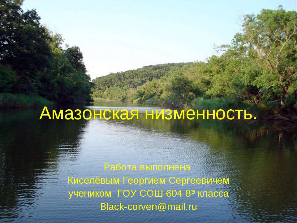 Амазонская низменность