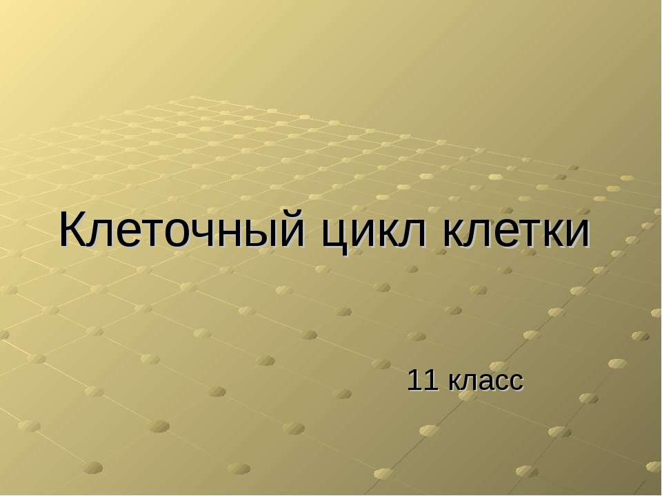 Клеточный цикл клетки