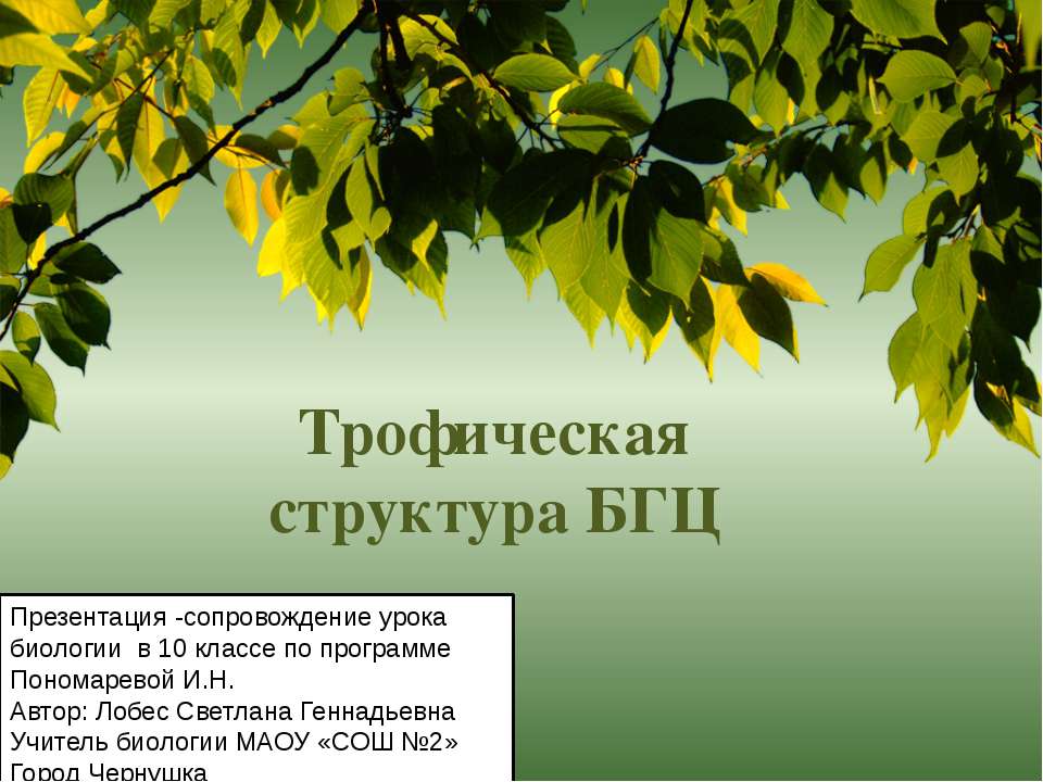 Трофическая структура БГЦ