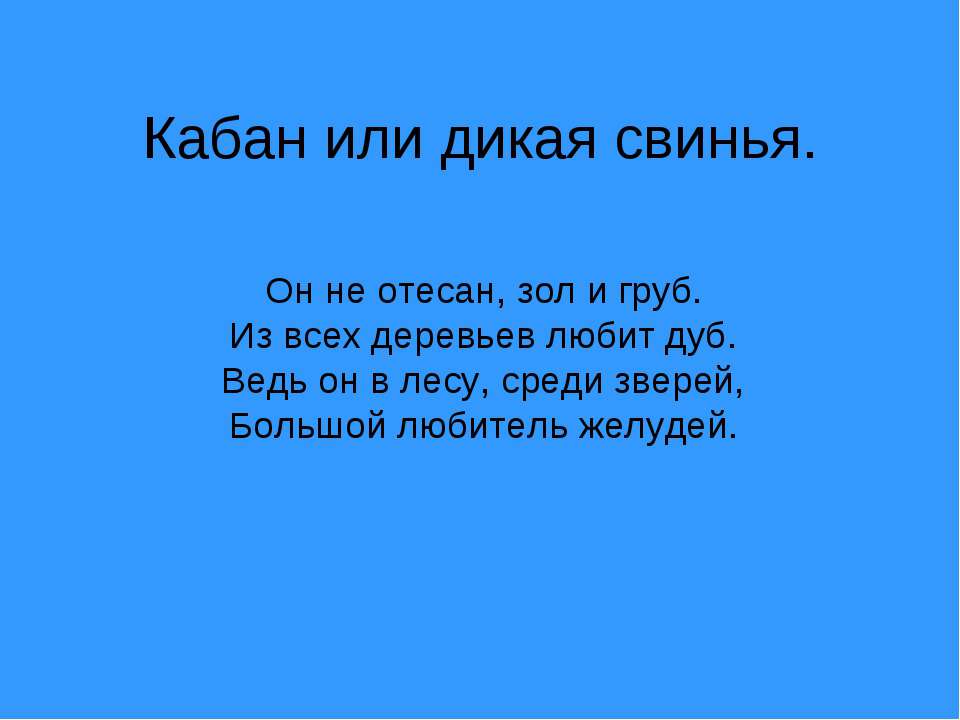 Кабан или дикая свинья