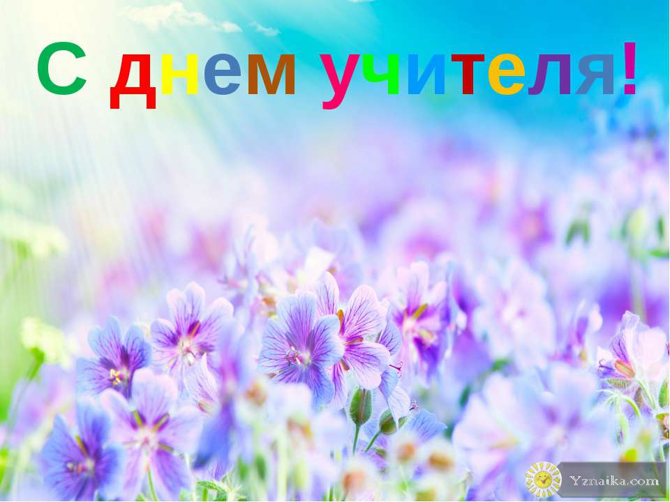 новый год