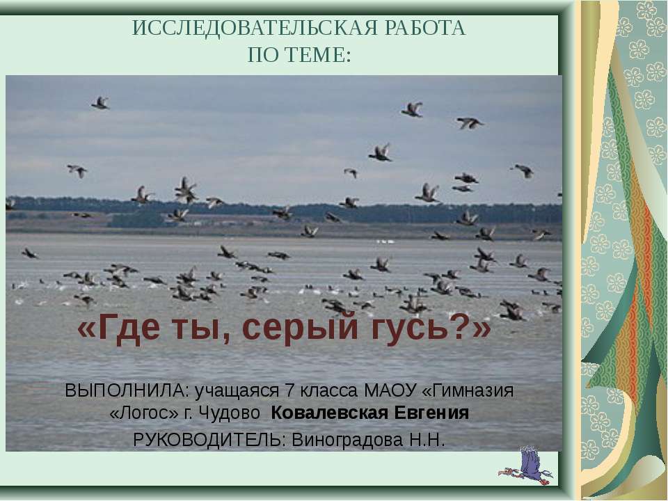 Где ты, серый гусь?