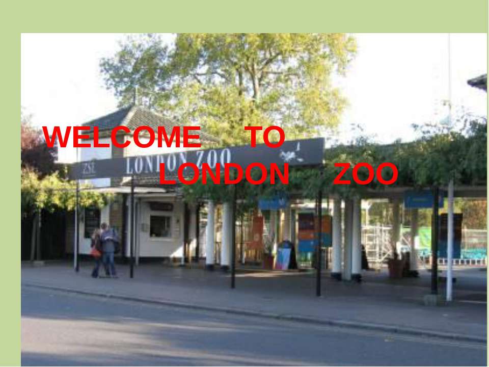 Welcome to London zoo