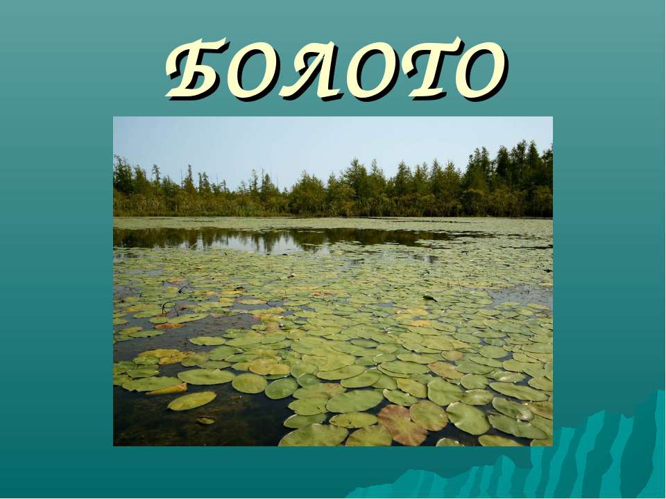 Болото 3 класс