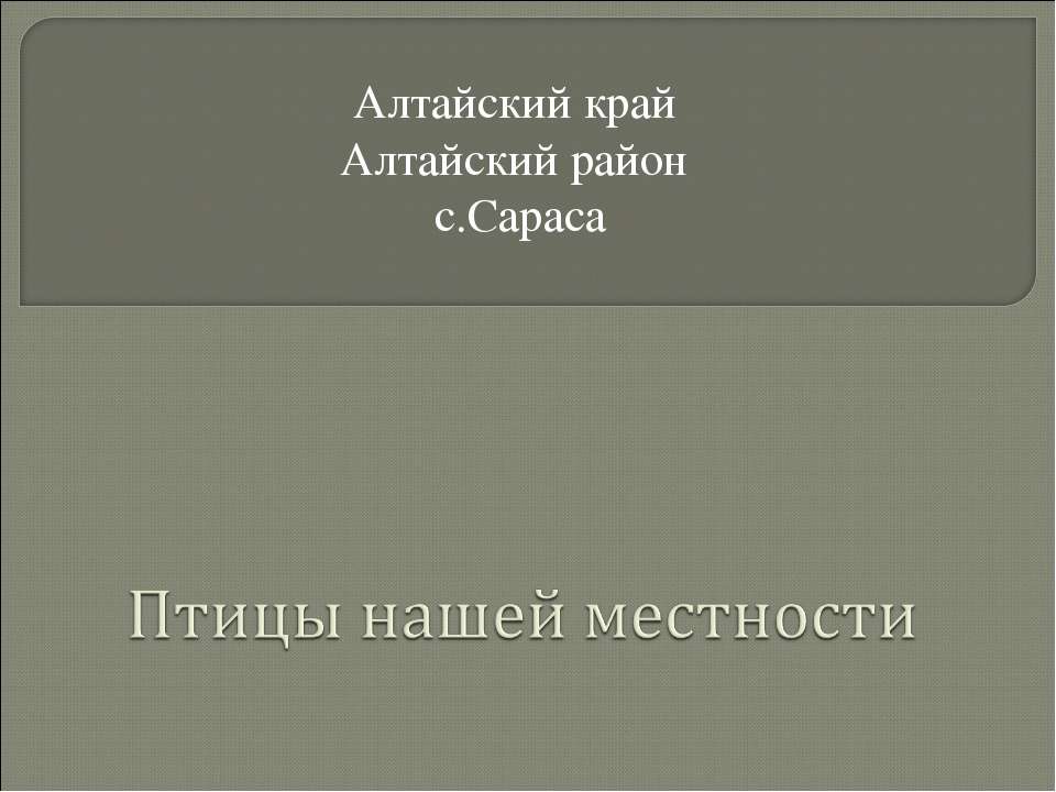 Птицы нашей местности