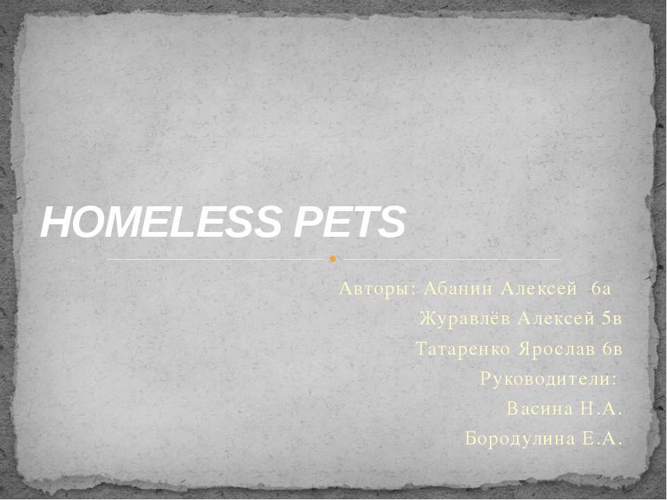 Homeless Pets