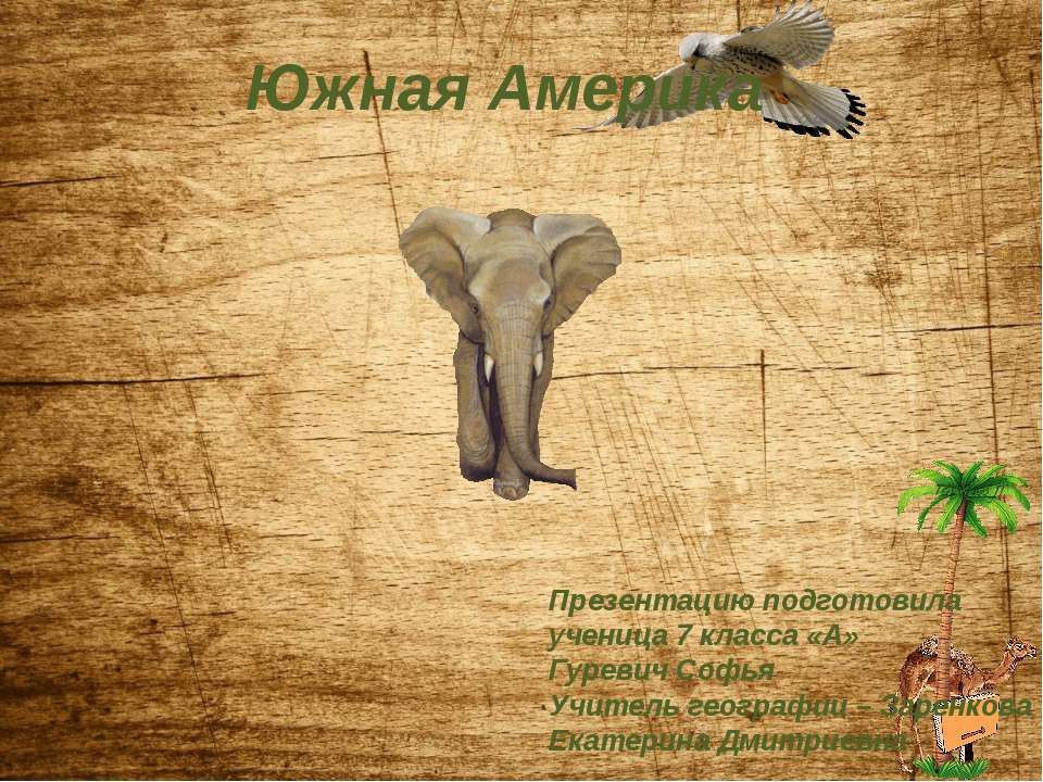 Население Южной Америки 7 класс