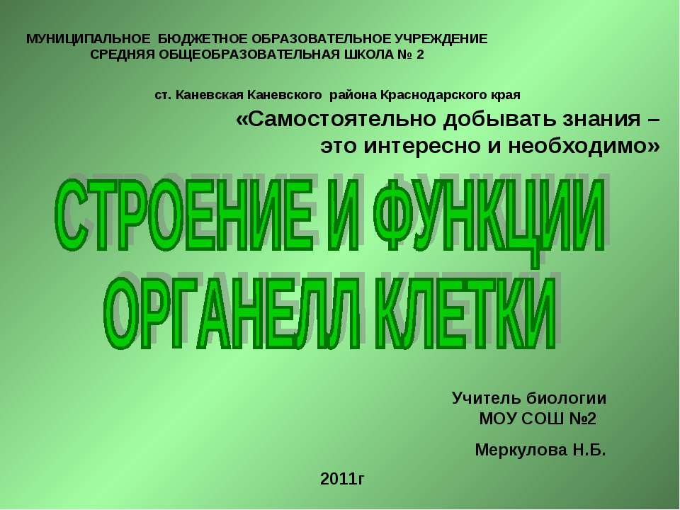 Строение и функции органелл клетки