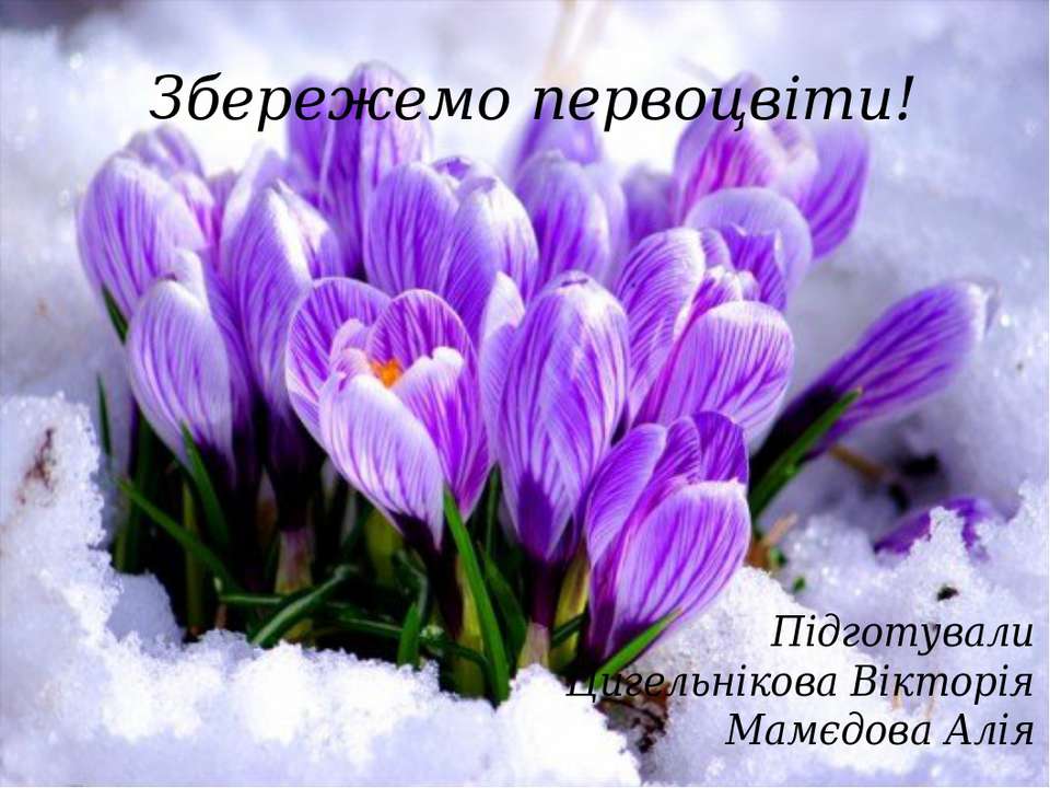 Первоцвіти