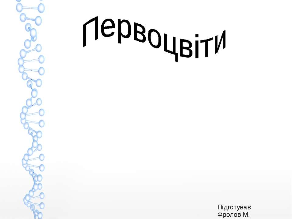 Первоцвіти