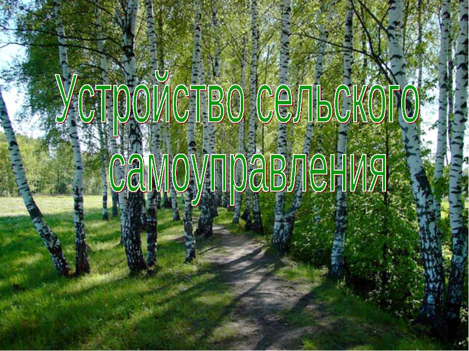 Устройство сельского самоуправления