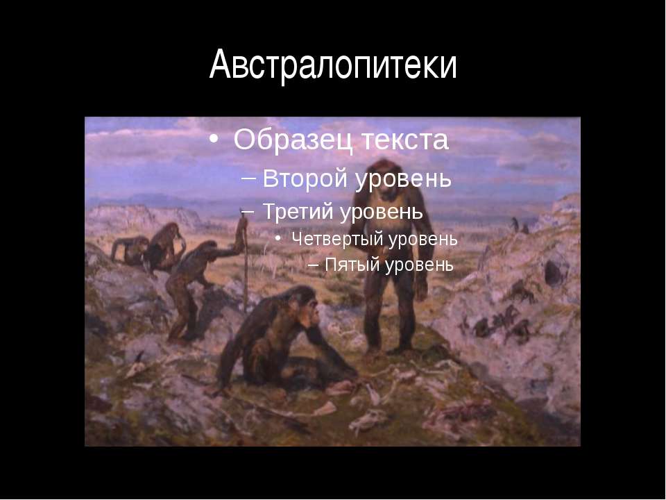 Австралопитеки