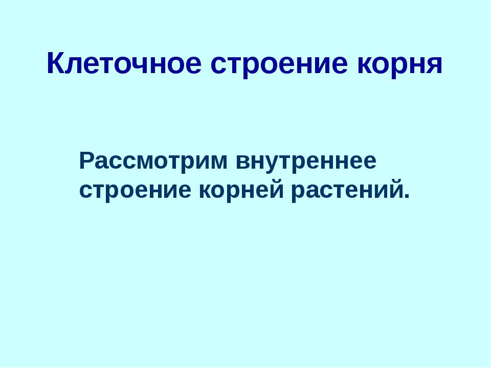 Клеточное строение корня. Рассмотрим внутреннее строение корней растений