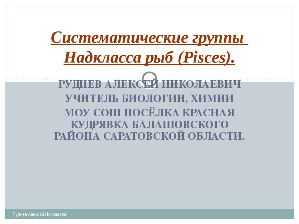 Систематические группы Надкласса рыб (Pisces)