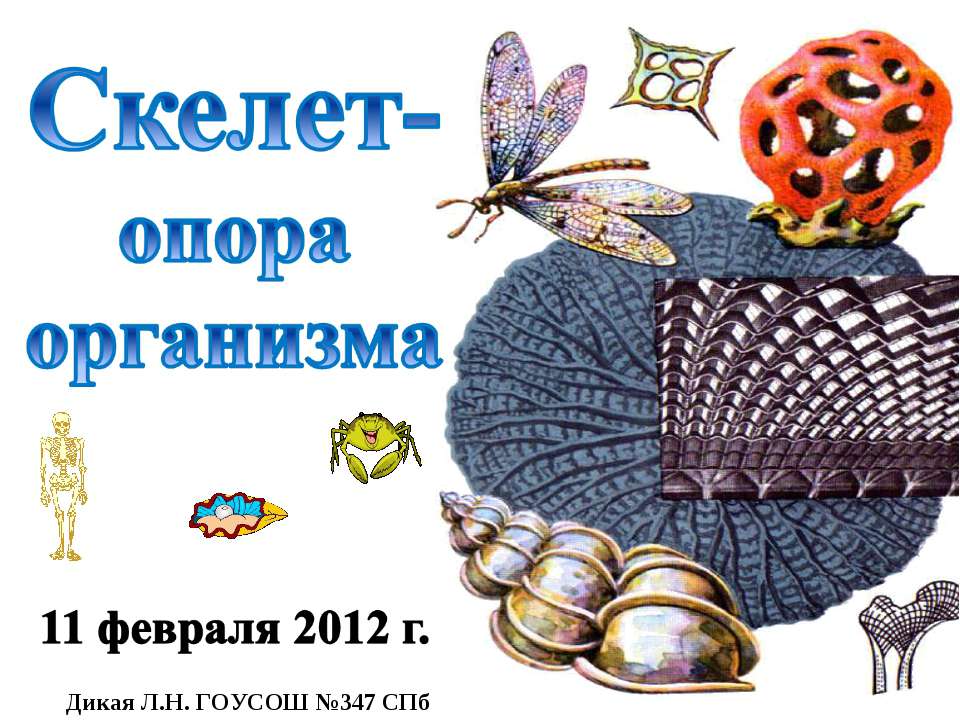 Скелет-опора организма