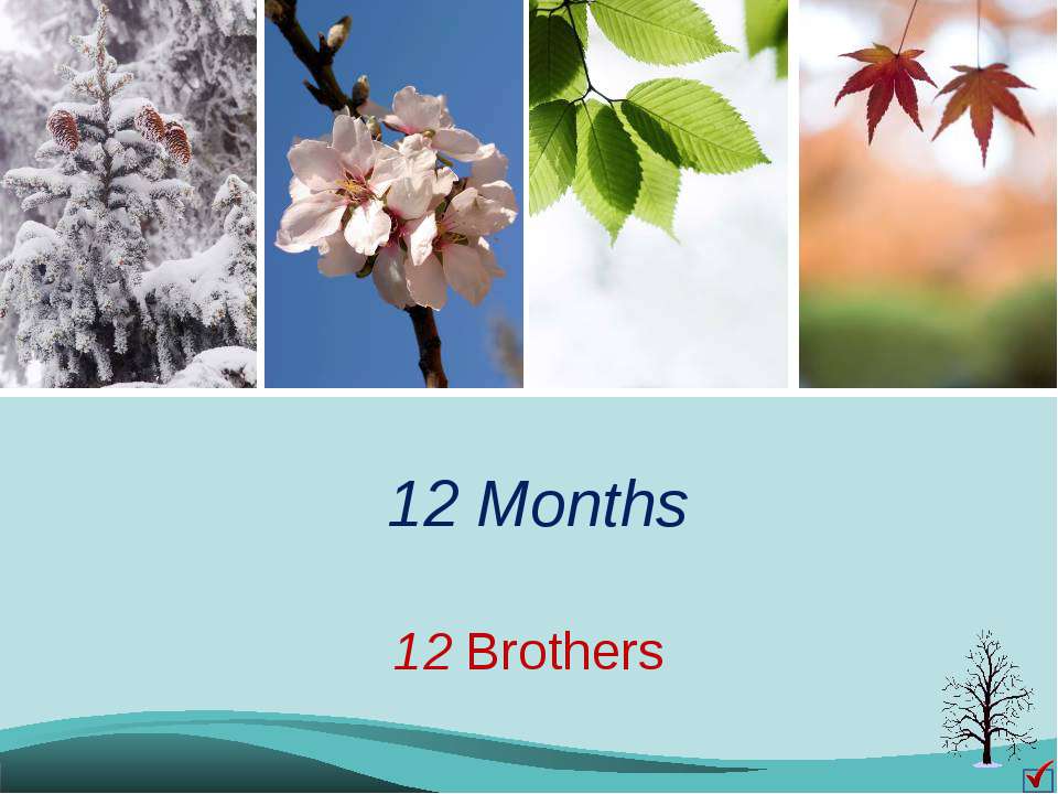 12 Months. 12 Brothers