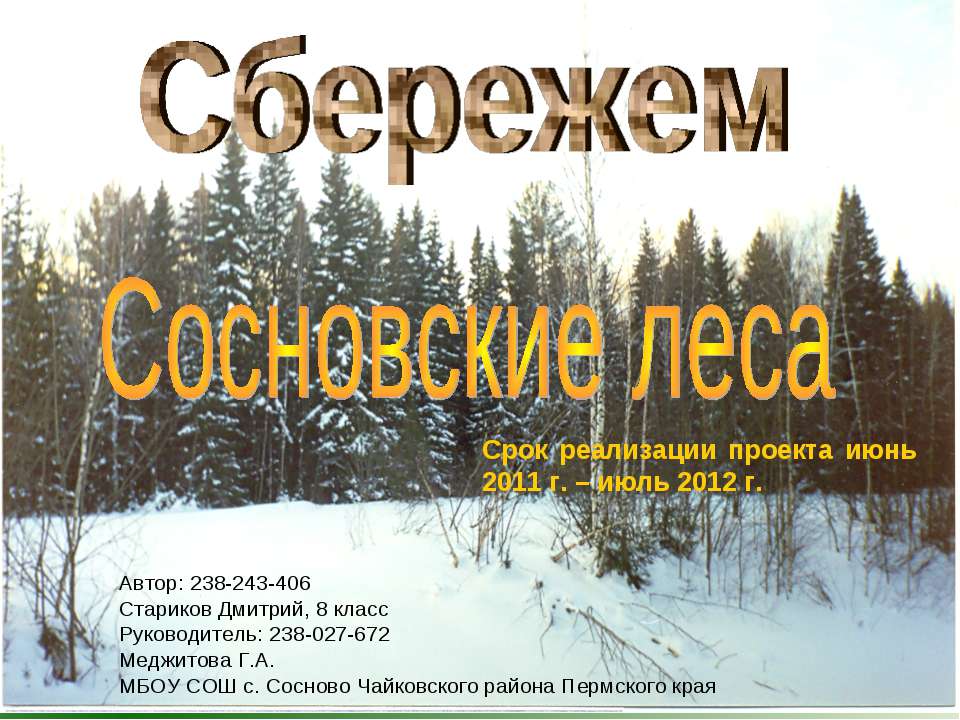 Сбережем Сосновские леса