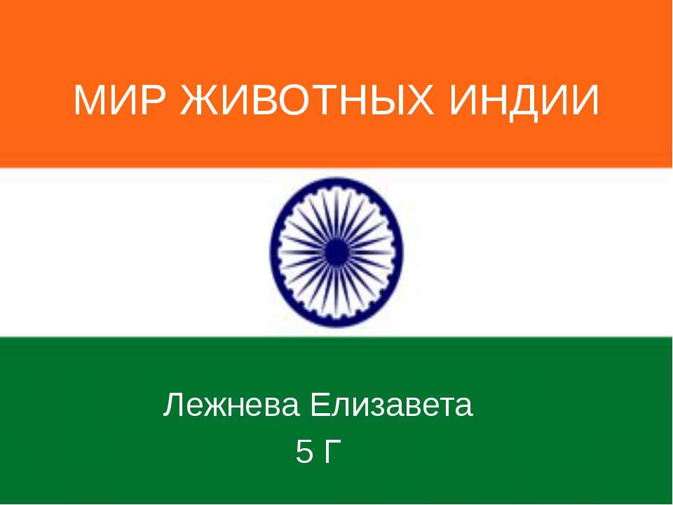Мир животных Индии