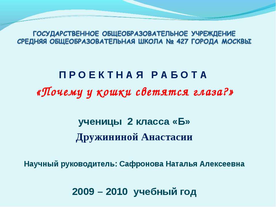Почему у кошки светятся глаза?