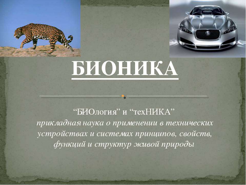 Бионика как отдельная наука
