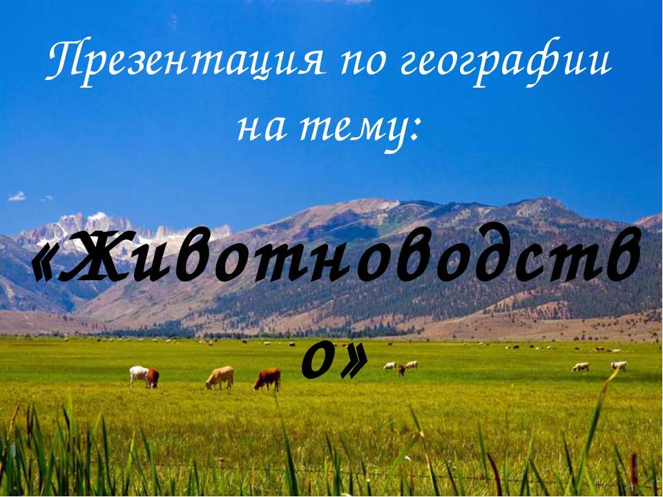 Животноводство