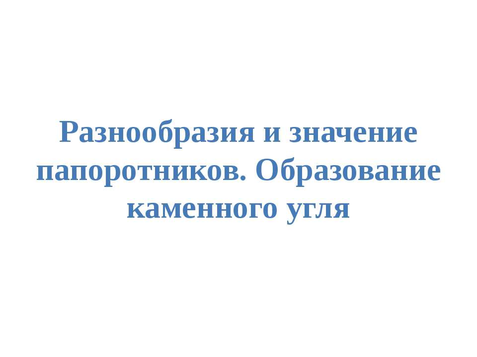 внутреннее строение насекомых