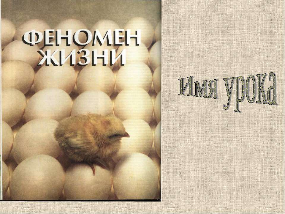Размножение и развитие птиц. Л/р «Изучение строения куриного яйца»