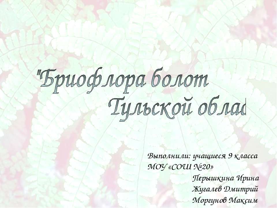 Бриофлора болот Тульской области
