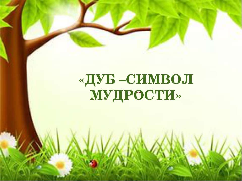 дуб - символ мудрости