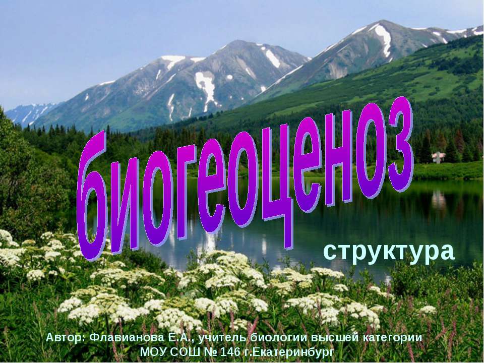 Биогеоценоз структура