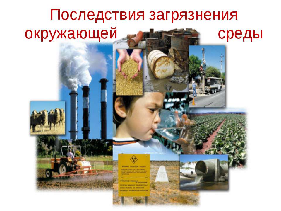Последствия загрязнения окружающей среды
