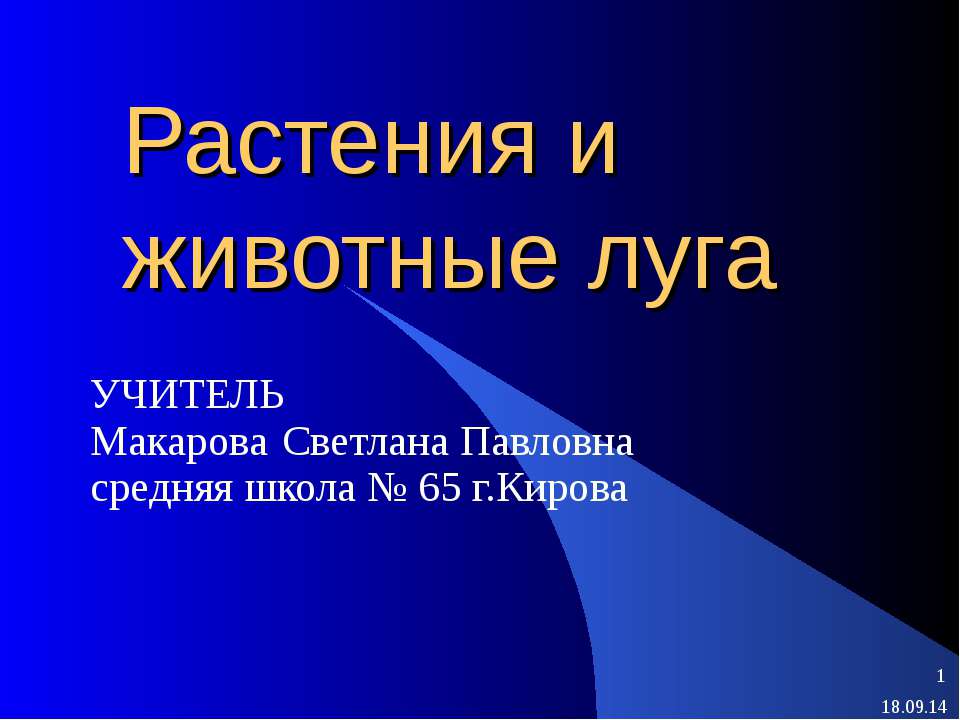 Растения и животные луга