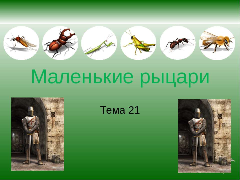 Маленькие рыцари
